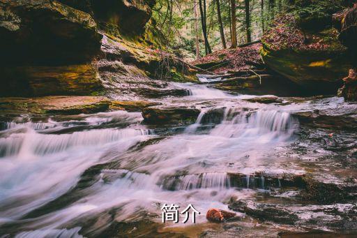简介