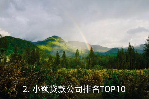 小额信贷公司排名，小额贷款公司排名Top10