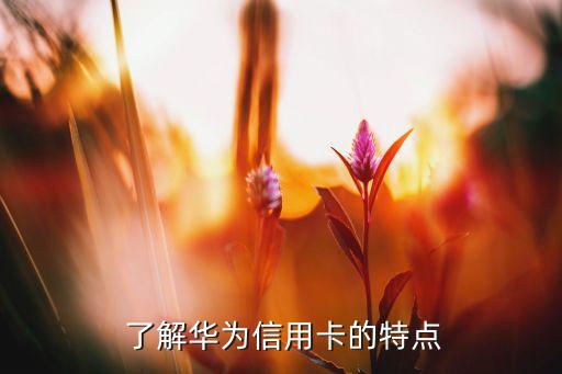 了解华为信用卡的特点