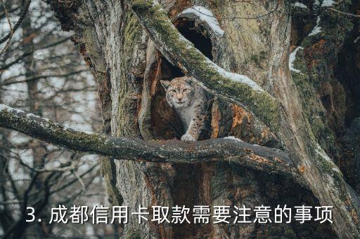 成都信用卡取钱，成都信用卡取款