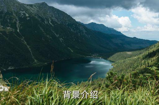 背景介绍