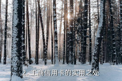工商信用卡哪个实用，工商信用卡有哪些实用之处？