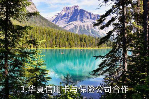 华夏信用卡的保险公司，华夏信用卡与保险公司合作，推出保险产品