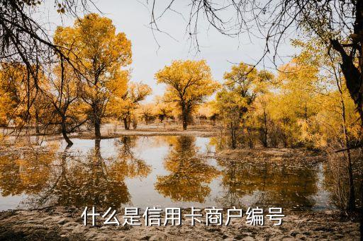 什么是信用卡商户编号