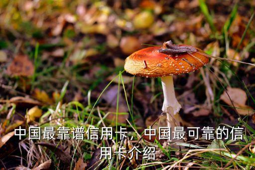 中国最靠谱信用卡，中国最可靠的信用卡