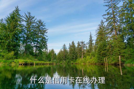 什么是信用卡在线办理