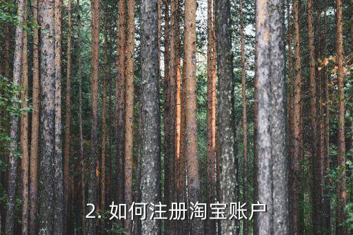 国外信用卡淘宝支付，用国外信用卡在淘宝购物支付的方法