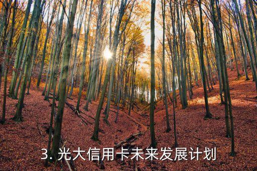 光大信用卡愿景，光大信用卡未来发展计划头条