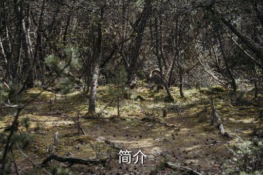 简介