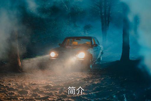 简介