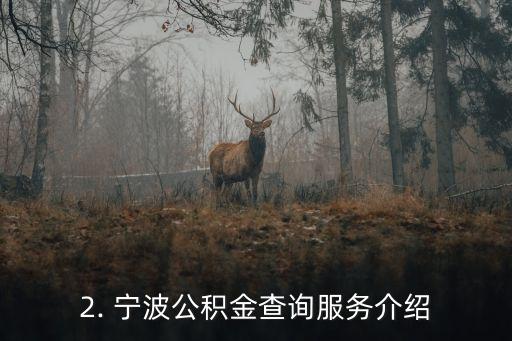宁波公积金查询，宁波公积金查询服务，轻松查询个人公积金余额