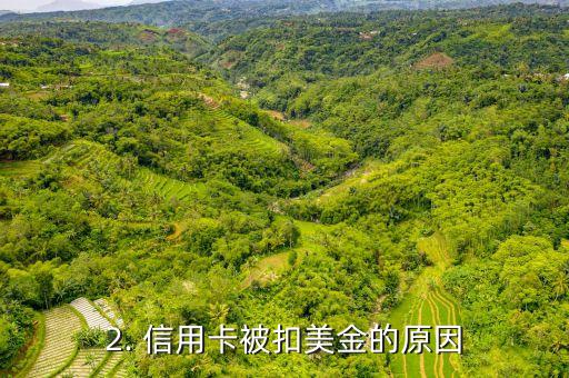 信用卡被扣美金，信用卡美元被扣除，重新改写标题