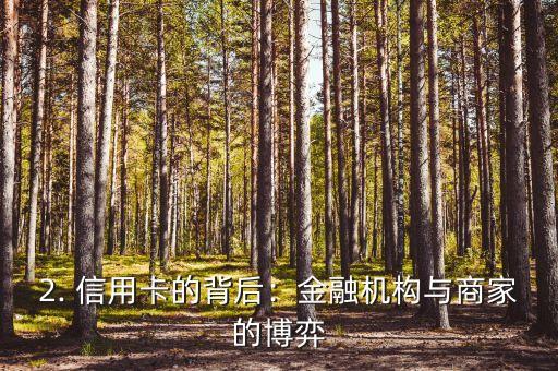 我有信用卡小说，信用卡小说：揭开不为人知的金融世界
