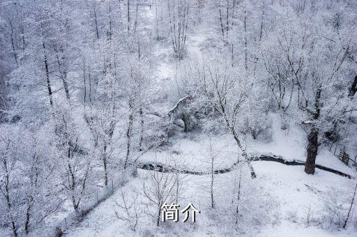 简介
