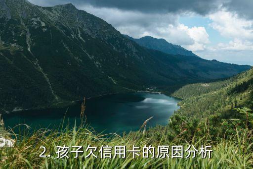 孩子欠信用卡，孩子信用卡欠款问题