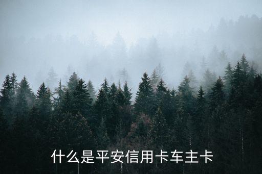什么是平安信用卡车主卡