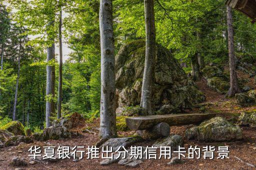 华夏银行推出分期信用卡的背景
