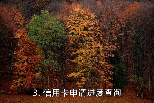 建设信用卡审批查询，信用卡申请进度查询，让您随时掌握申请状态