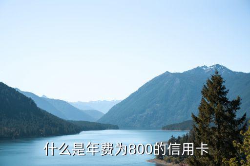 什么是年费为800的信用卡