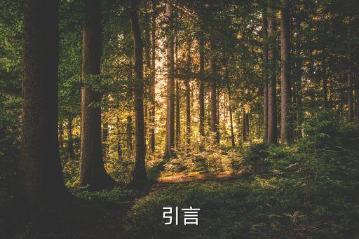 引言