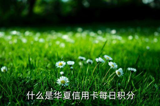 什么是华夏信用卡每日积分