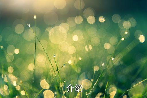 介绍