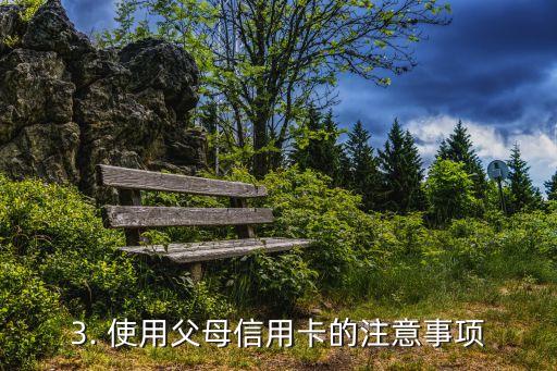 可以用父母的信用卡，父母信用卡：让你的消费更便捷！