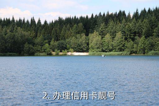 办理信用卡靓号，申请信用卡抢手好号码，靓号等你来拿