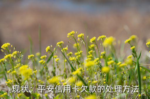 现状:平安信用卡欠款的处理方法