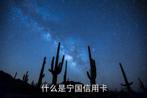 什么是宁国信用卡