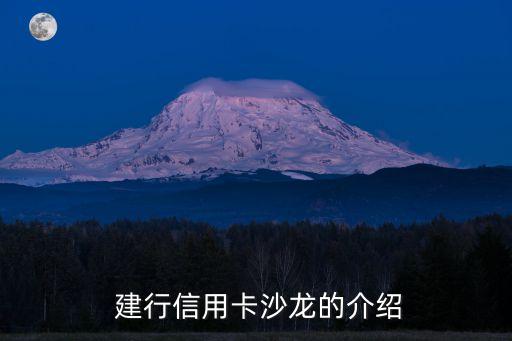 建行信用卡沙龙的介绍