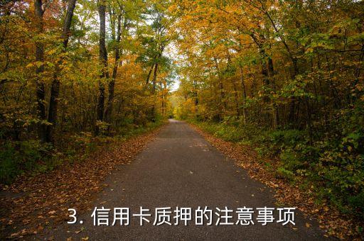 办理信用卡质押，办理信用卡质押-专家指导