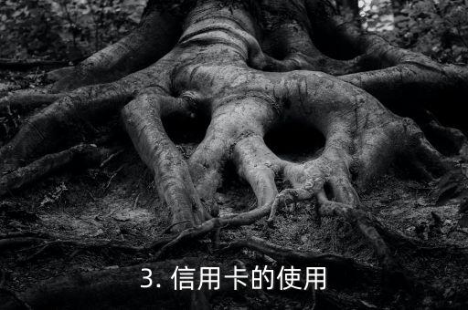 借信用卡协议书，信用卡使用协议书