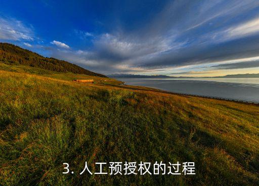 信用卡预授权人民币，信用卡预授权人民币：重要支付方式