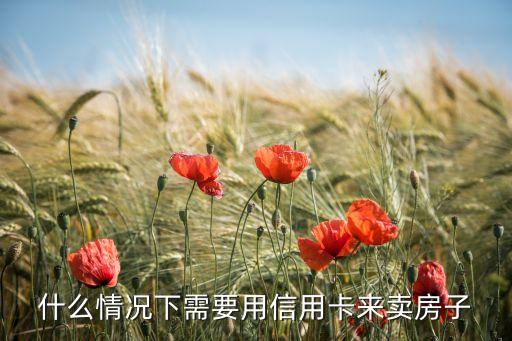 什么情况下需要用信用卡来卖房子