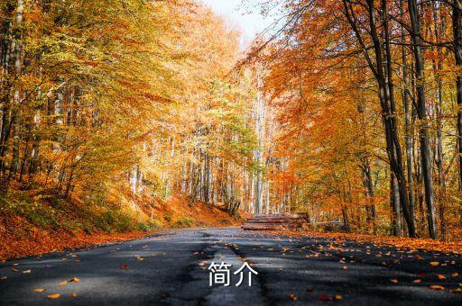 简介