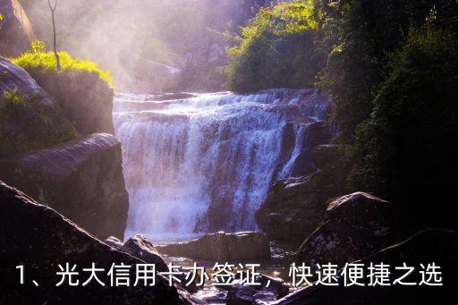 1、光大信用卡办签证,快速便捷之选