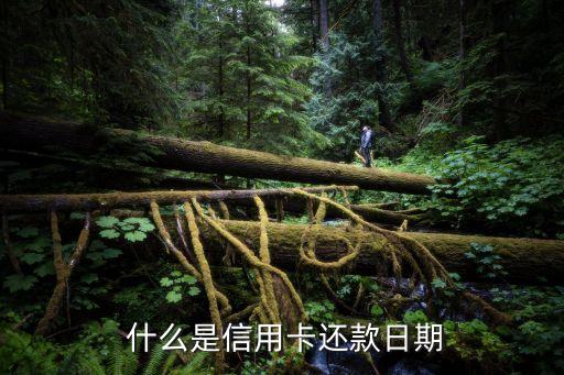什么是信用卡还款日期