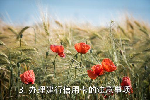 刚办建行信用卡额度，办理建行信用卡获得更高的额度