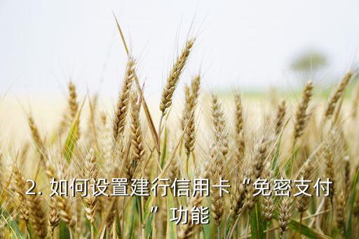 建行信用卡免密设置，建行信用卡“免密支付”功能设置方法