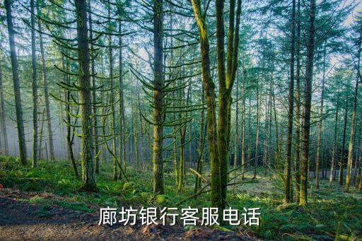 廊坊银行客服电话
