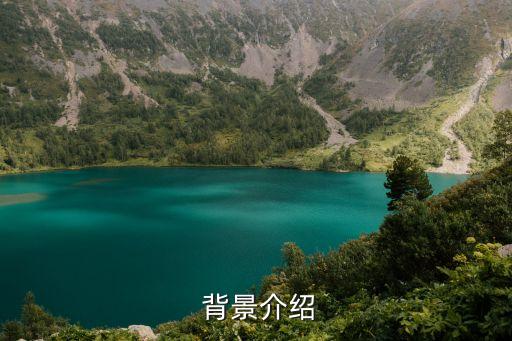 背景介绍