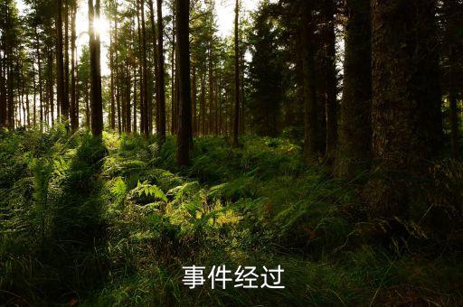 事件经过