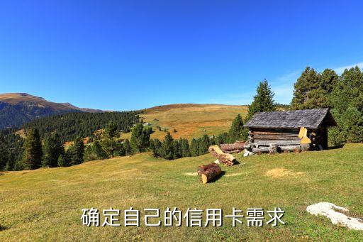 确定自己的信用卡需求
