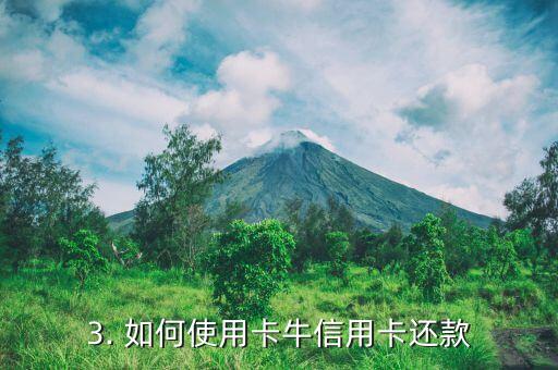 卡牛信用卡还款，卡牛信用卡还款：快速还款实现信用卡管理轻松化