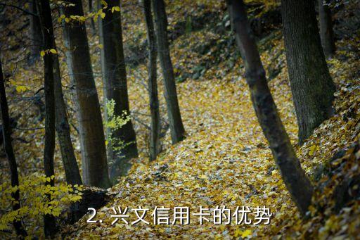 兴文推销信用卡，兴文信用卡，一张助你财富增值的新利器