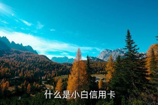 什么是小白信用卡