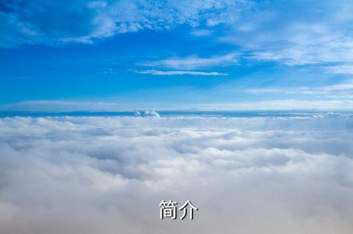 简介