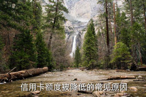 信用卡额度被降低的常见原因