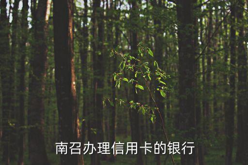南召办理信用卡的银行